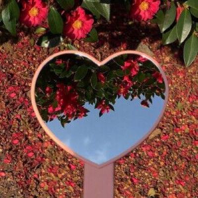 半岛游戏官方网站入口截图